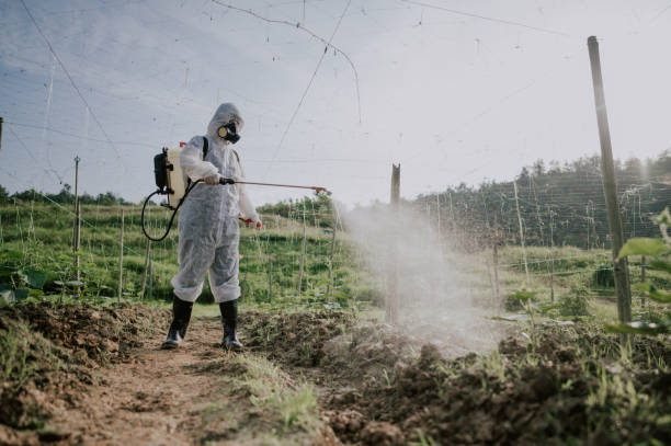 Best Mosquito Control Services  in Centerfield, UT