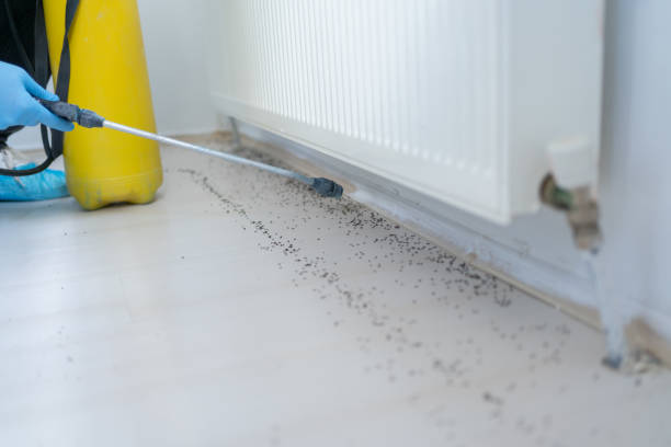 Best Ant Control Services  in Centerfield, UT