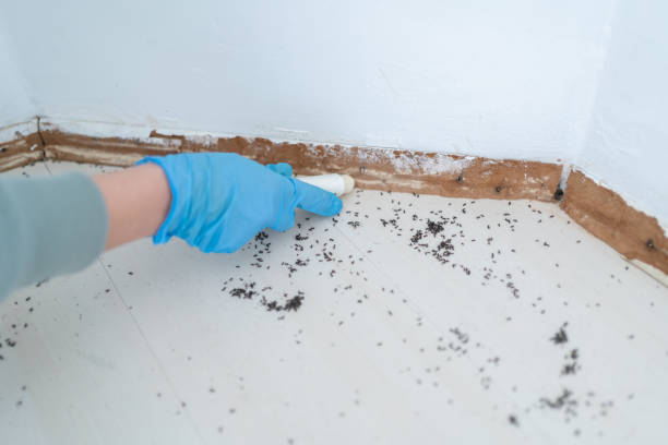Best Exterminator Services  in Centerfield, UT